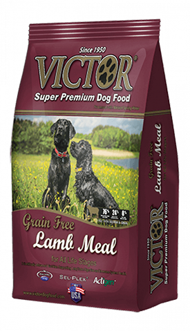 Victor salmon and on sale sweet potato dog food